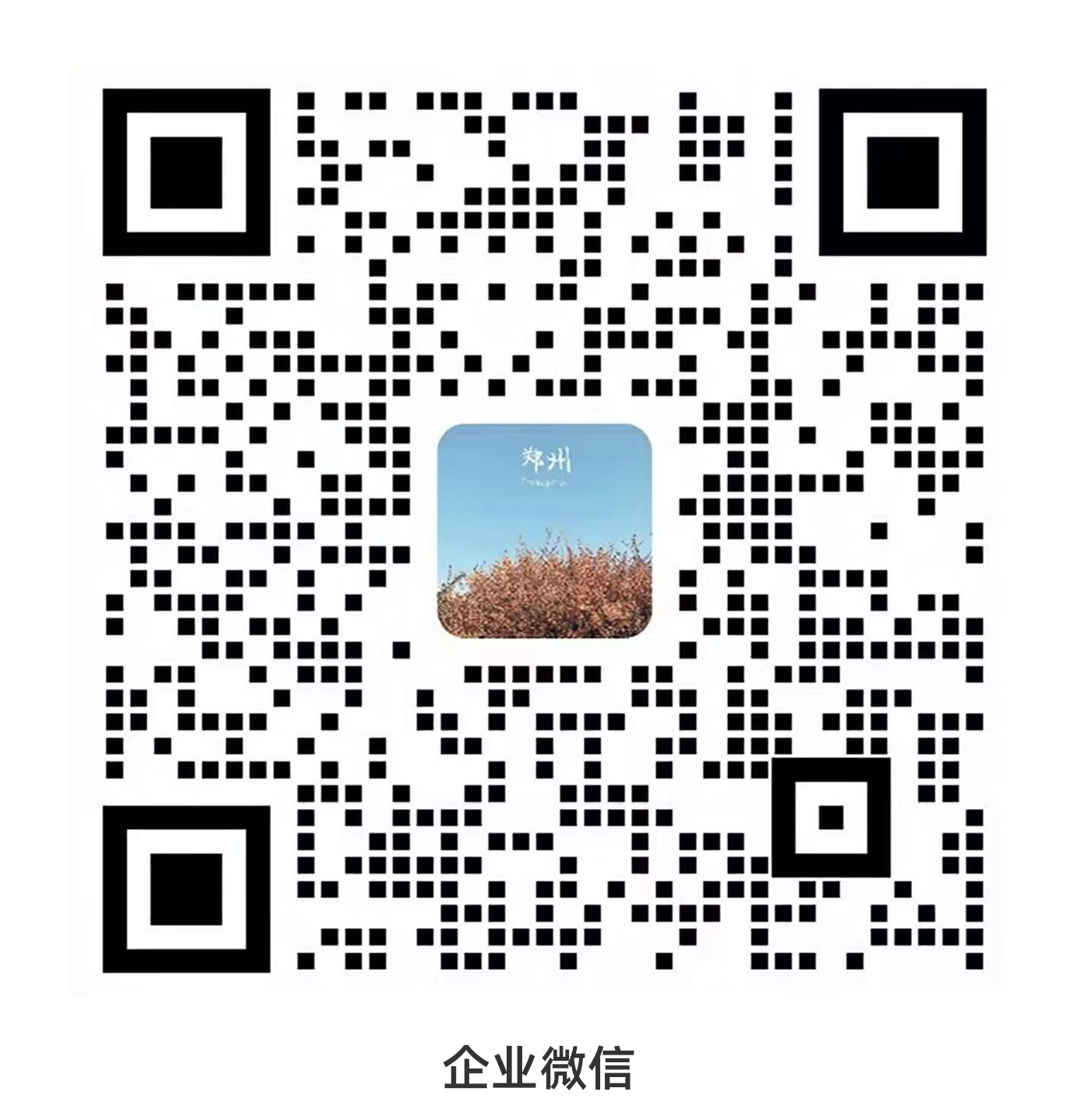 一乐数智客服企业微信二维码
